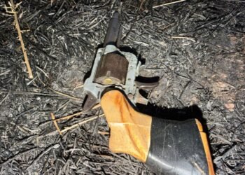 Ruta 9: dos menores aprehendidos tras una fuga y secuestro de un revólver en el puente del Arroyo del Medio