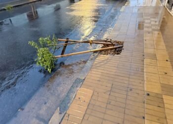 Daños y robos en los primeros días de marzo