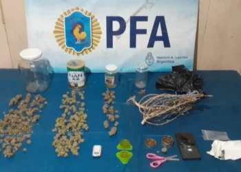 Golpe al narcomenudeo: la PFA secuestró droga valuada en más de $3,5 millones