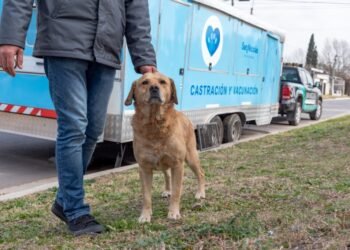 Castraciones y vacunación: el tráiler municipal llega a Villa Canto y Villa Campi