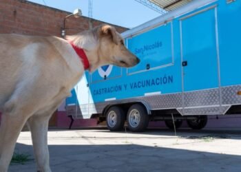 El tráiler de castración y vacunación llega a Mosconi y Colombini: días, horarios y requisitos
