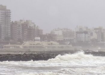 Apagón afecta a Mar del Plata y la Costa Atlántica: miles sin luz