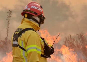 Cafayate prohíbe loteos en áreas devastadas por incendios