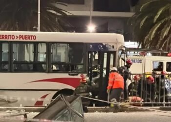 Chofer del colectivo que causó tragedia en Mar del Plata asegura que fue por falla mecánica
