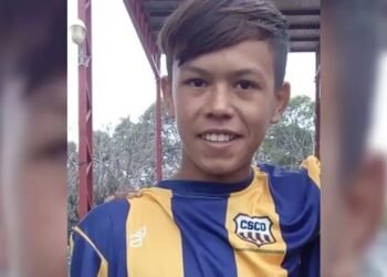 Condena a dueños de perros responsables de la muerte de un niño en Santa Fe