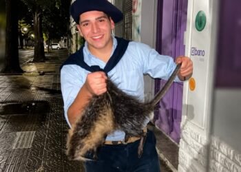 Conmoción en Bahía Blanca por el brutal asesinato de una nutria