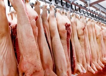Córdoba: Incautan más de 100 kilos de carne porcina en un operativo clandestino