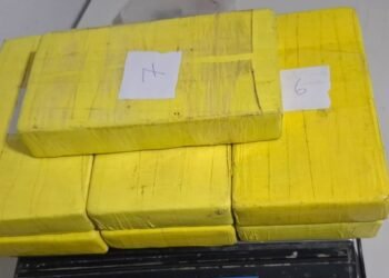 Detenidos con más de siete kilos de cocaína en la autopista Buenos Aires-La Plata