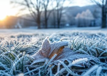 El invierno se instala: 18 ciudades argentinas sufrieron temperaturas bajo cero