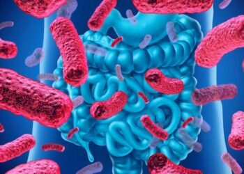 El papel crucial de la microbiota intestinal en las alergias infantiles
