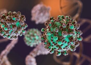 Fallece una mujer por hantavirus en Bariloche tras complicaciones
