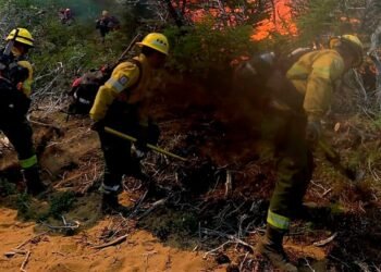 Incendio forestal en Cafayate arrasa con 200 hectáreas