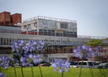 Innovador trasplante simultáneo en el Garrahan: dos gemelas salvan sus vidas