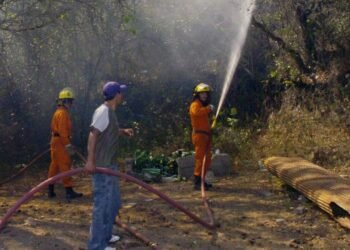 Investigación en marcha por incendios en Cafayate