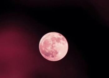 La Luna de Fresa ilumina el cielo argentino este lunes