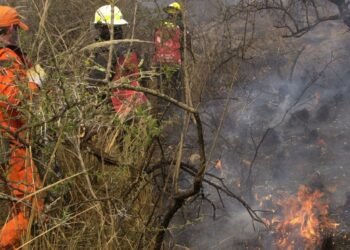 La fiscal Rojas busca a los responsables de los incendios en Cafayate