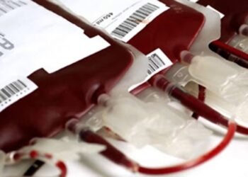 La modernización del Sistema Nacional de Sangre transforma la donación en Argentina