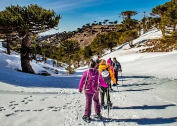 Neuquén lanza la Temporada de Invierno 2026 con la mayor superficie esquiable del país