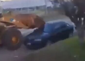 Un hombre borracho al volante de una retroexcavadora causa caos en Concordia