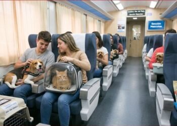 Ya están a la venta los pasajes de tren a Mar del Plata para las vacaciones de invierno