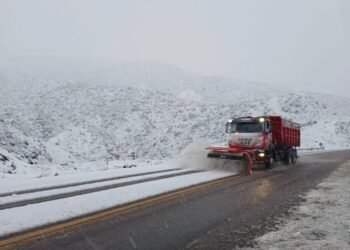Alerta amarilla por nevadas en la Patagonia: acumulaciones de hasta 20 cm