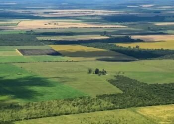 Argentina podría flexibilizar la compra de tierras por extranjeros con el nuevo proyecto de Milei
