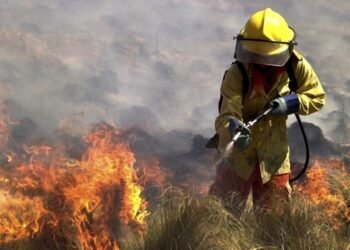 Cafayate: imputan a un hombre por incendios que arrasaron 200 hectáreas