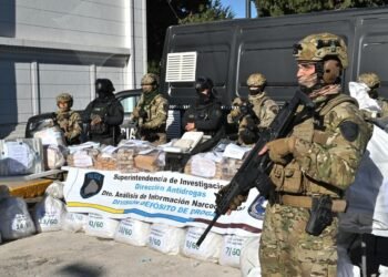 Casi una tonelada de droga incinerada en Buenos Aires: un golpe al narcotráfico
