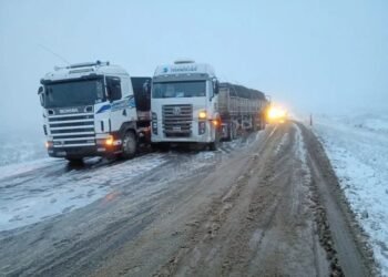 Continúa el cierre de los pasos Cristo Redentor y Pino Hachado por intensas nevadas