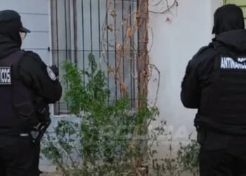 Detenidos en Plottier tras herir a un hombre con una pistola de aire comprimido
