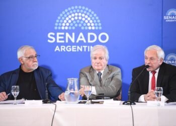 El Senado extiende por cinco años el mandato del juez Víctor Pesino, defensor de la reforma laboral