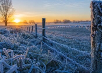 El frío polar azota Argentina: duración y provincias en alerta
