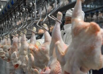 El pollo se convierte en la proteína más consumida por los argentinos