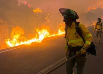 El viento Zonda causa estragos en Jujuy: ráfagas históricas y emergencias