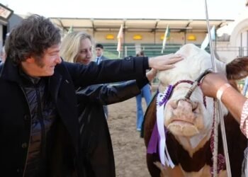 Expectativa en La Rural por anuncios de Milei en la inauguración