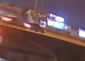 Fasano se pronuncia sobre el trágico accidente en la Panamericana