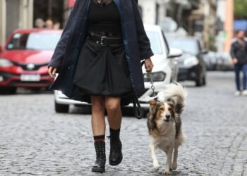 Investigan a un hombre por dispararle a un perro en Río Negro