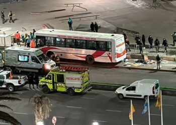 Irregularidades en la VTV del colectivo que causó tragedia en Mar del Plata