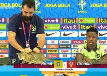 La maldición del gato: Brasil sufre otra eliminación histórica en el Mundial 2026