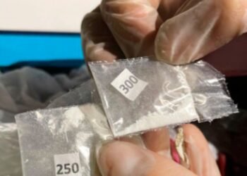 Nuevo protocolo para el análisis de drogas secuestradas en Argentina