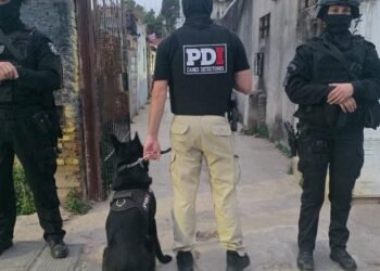 Policías encubiertos desbaratan banda narco en Rosario durante operativo sorpresa