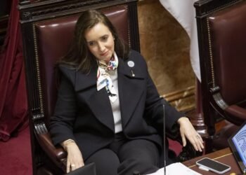 Villarruel critica a Bullrich por la Ley de Tierras: ‘Quieren vender el país’