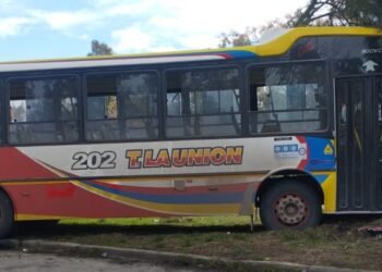 Accidente en Berisso: colectivo choca auto y termina contra un árbol