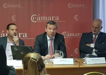 Agustín Flah renuncia como representante argentino ante el GAFI tras solo cuatro meses en el cargo