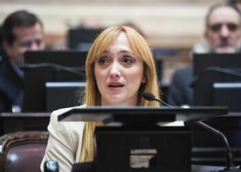 Anabel Fernández Sagasti impulsa un proyecto para el voto remoto de senadoras embarazadas