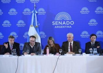 Bullrich busca consensos para el Súper RIGI en medio de tensiones en el Senado