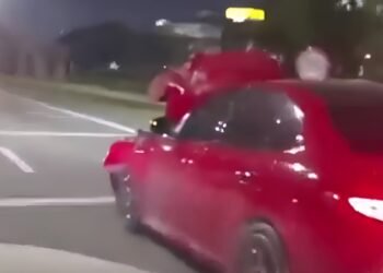 Conductor sorprende al circular con el capot levantado en la Panamericana