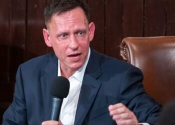 Debate en el Congreso sobre la llegada de Peter Thiel a Argentina