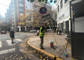 Descubren cuatro estacionamientos falsos para discapacitados en una misma cuadra de Palermo
