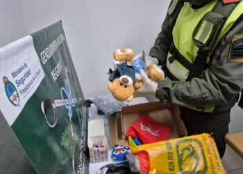 Descubren marihuana oculta en un oso de peluche en control de Gendarmería